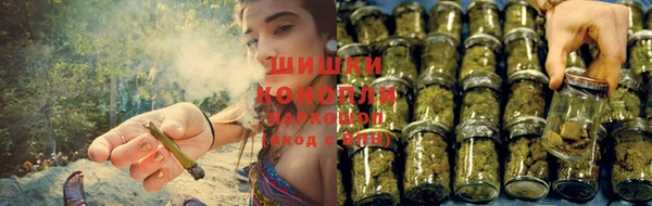 сатива Нижневартовск