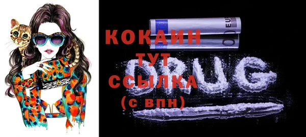 сатива Нижневартовск