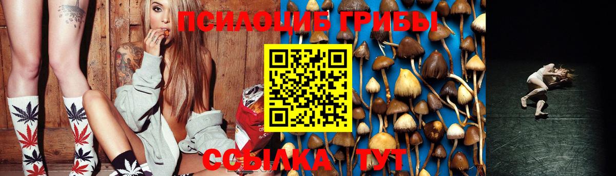 Псилоцибиновые грибы мицелий  Псилоцибиновые грибы ЛСД  Алейск 