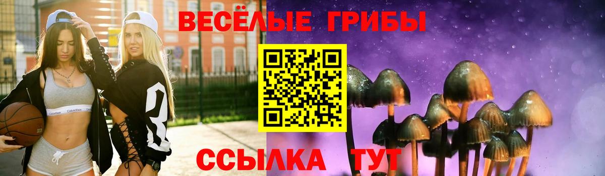 Псилоцибиновые грибы Psilocybine cubensis  Галлюциногенные грибы мухоморы  Вход с VPN  Алейск 